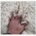 thumbnail image 5 of STYLISH 9x12 GREEK FLOKATI RUG💥LONG 3.5" SHAG PILE💥 OFF WHITE NATURAL WOOL AREA RUG, 5 of 7