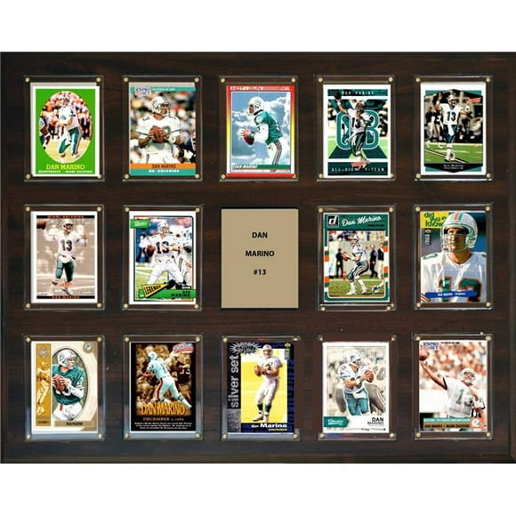 C&I Collectables 162014MARINO 16 x 20 in. NFL Dan Marino Miami Dolphins 14-Card Plaque