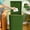 Green, variant on Iumwxz Bathroom Trash Cans Household Toilet with Lid Has Living Room Kitchen Bedroom Trash Cans Press Grips