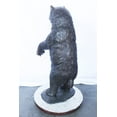 thumbnail image 5 of Nifao Baby bear on hind legs ready to attack bronze statue – Home Decor Sculpture, 21"L x 19"W x 40"H, 5 of 9