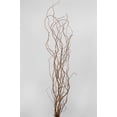 thumbnail image 3 of 3 Pieces of Natural Curly Willow Branches, 12 Branches, 3-4 Feet, 3 of 3