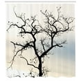 thumbnail image 3 of Ambesonne Forest Shower Curtain, Black Fall Tree Silhouette, 69"Wx84"L, Grey Black, 3 of 3