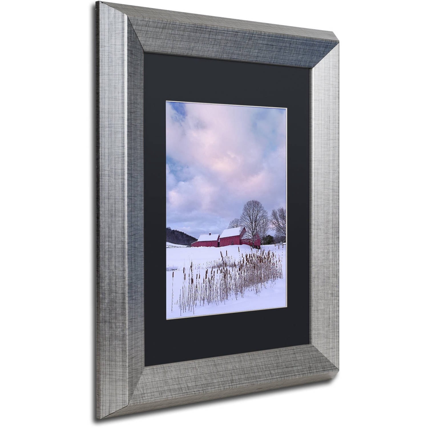 Trademark Fine Art "Cat O'Nine In Snow" Canvas Art by Michael Blanchette Photography Black Matte, Silver Frame