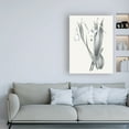 thumbnail image 3 of Trademark Fine Art 'Neutral Botanical Gray' Canvas Art by Wild Apple Portfolio, 3 of 3
