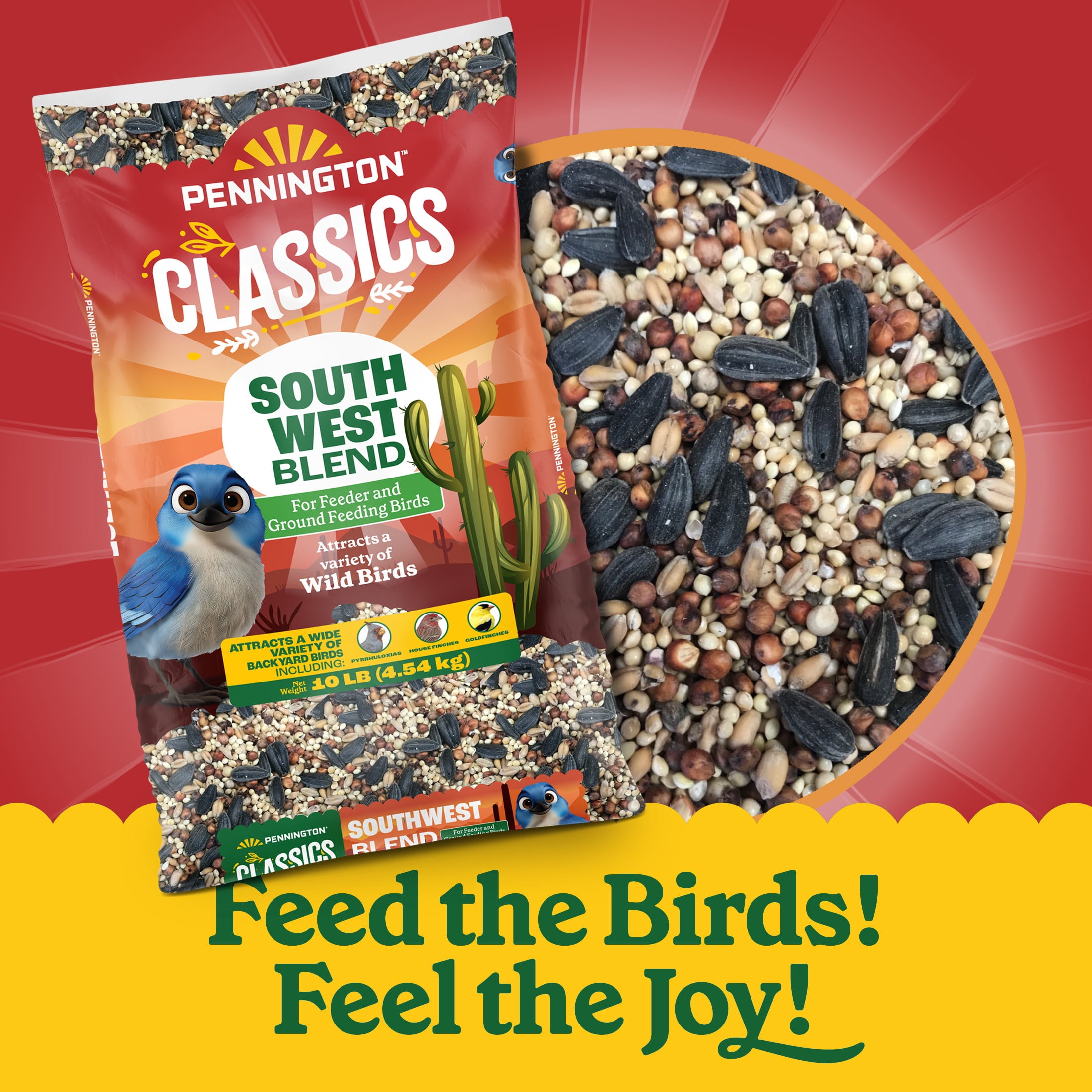 Pennington Southwest Blend Wild Bird Seed for Outside Feeders, 10 lb., 1 Pack, Dry Bird Food