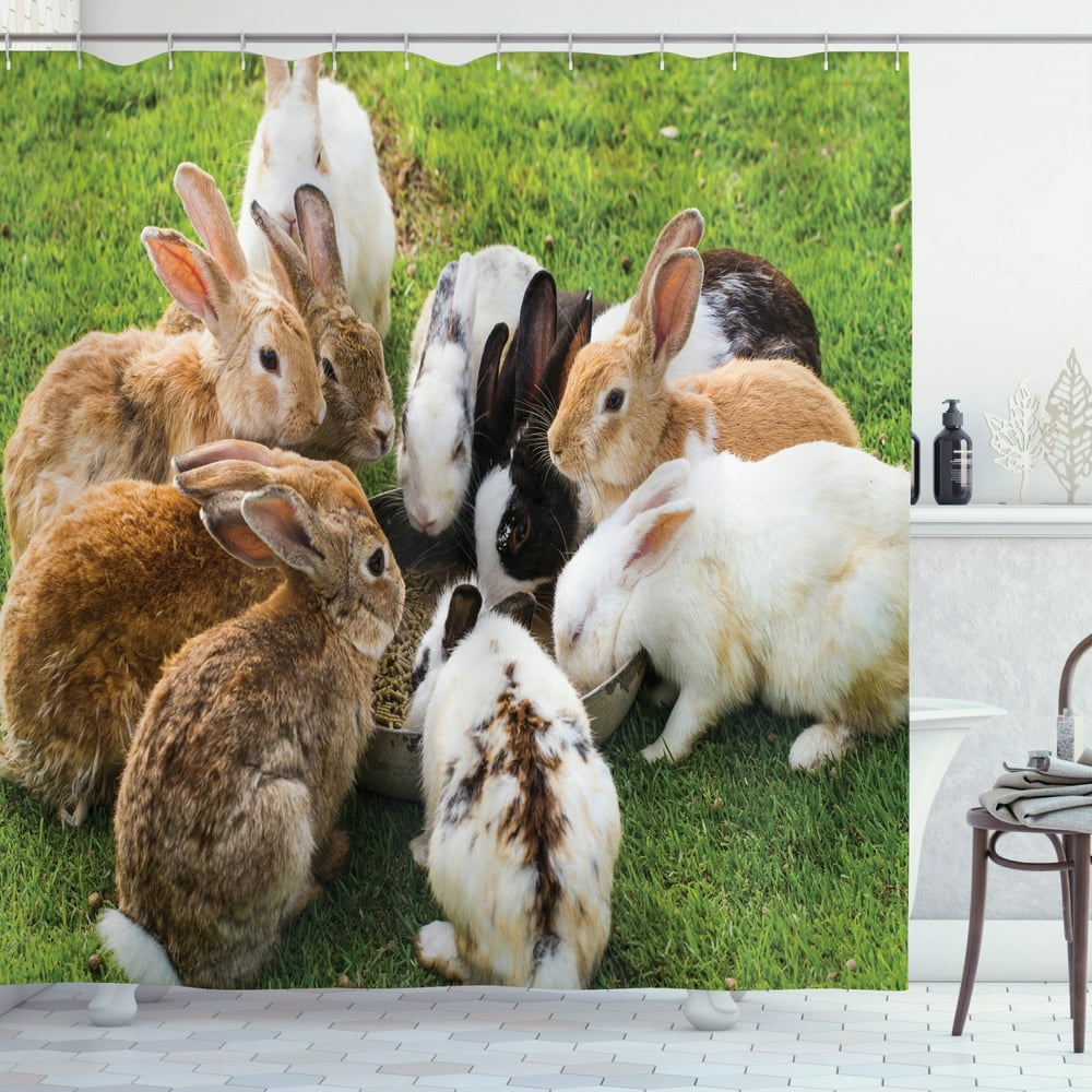 Bunny Shower Curtain, Real Life Image of a Group of Rabbits Eating Food ...