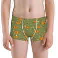 thumbnail image 5 of Yiaed Squirrel And Nuts Print Boys' Boxer Briefs Cotton Casual Stretch Comfort Boys Boxers - Kids Boxer Briefs Underwear for Boys (6-18)-Small, 5 of 5