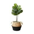 thumbnail image 3 of Nearly Natural 3' Artificial Fiddle Leaf Fig Tree DIY Kit - Set of 2, 3 of 12