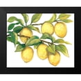 thumbnail image 2 of OToole, Tim 24x20 Black Modern Framed Museum Art Print Titled - Ripe for Picking II, 2 of 5