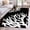 Black, variant on 3'x5' Area Rugs, Coral Brown Indoor Outdoor Area Rug for Living Room Bedroom, White Coastal Ocean Marine Nautical Beach Washable Bathroom Rugs Kitchen Floor Carpet Mats Home Decor Aesthetic