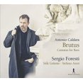 thumbnail image 1 of Brutus, 1 of 2