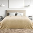thumbnail image 1 of MARNUR Electric Heated Blanket Queen Size 84''x90'', Fast Heating with Dual Controllers, 10 Heating Levels, 10H Timer, Preheat Function - Beige, 1 of 13