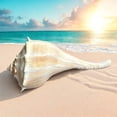 thumbnail image 6 of Giant Conch Seashell White Brown Pattern Rare Big Large Ocean Sea Shell Coastal Decor Nautical Centerpiece Decoration Beach Lovers Special Collection Gift, 6 of 6