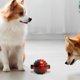 thumbnail image 4 of Juguetes para perros con temática navideña, pelotas indestructibles para perros, pelotas masticables de alta elasticidad y juguete interactivo de entrenamiento para perros, juguete de plástico., 4 of 6