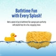 thumbnail image 3 of Baby Buddy Natural Newborn Bath Sponge, 4in Soft Grass Sea Sponge, Tender on Baby Skin, 2pk, 3 of 7