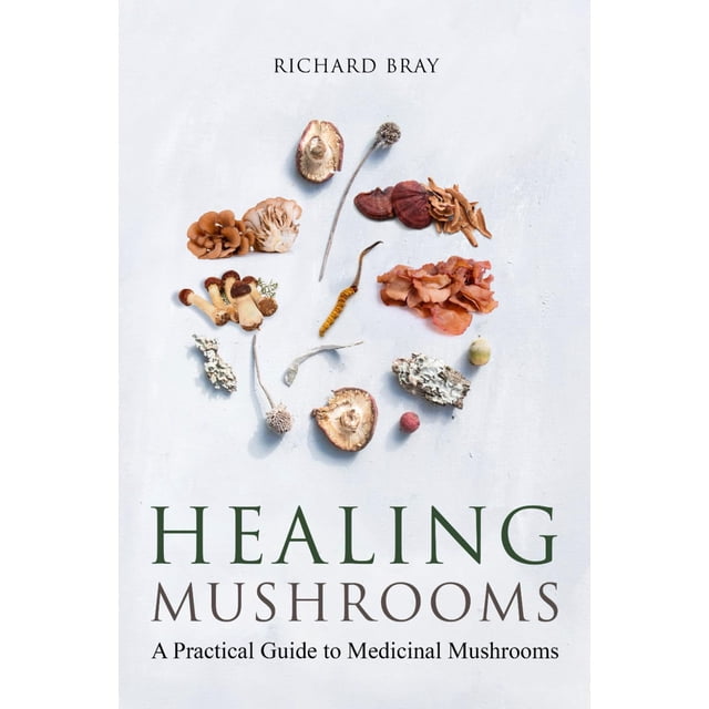 Libro Hongos medicinales: una guía práctica para la curación
