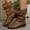 #055-Brown, variant on Wowcloth Fashion Casual Mid-Calf Boots for Women – Stylish Buckle Slip-On with Round Toe & Chunky Heel for Winter Footwear