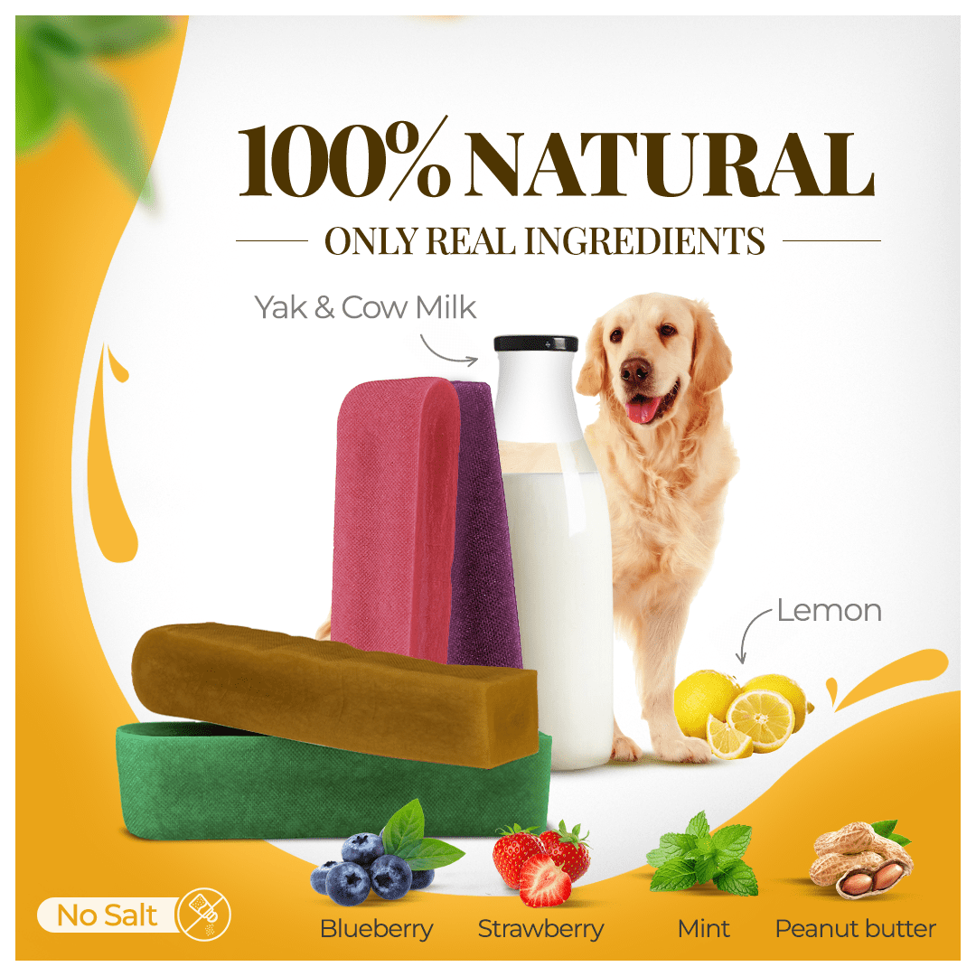 Dogsee Multiflavor Yak Chews Medium Dogs Dental Chews Rawhide Free 280 g 4 Bars