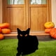 thumbnail image 1 of Decoración de Jardín de Hierro Forjado para Halloween | Juego de 4 Gatos | Material Acrílico Resistente | Letreros para Exterior | Tamaño: 24 Cm | Incluye Taco para Enterrar, 1 of 5