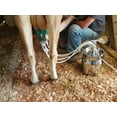 thumbnail image 6 of ULTIMATE EZ™ MILKER, 6 of 11