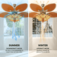 thumbnail image 3 of mollie 51" Ceiling Fan with Remote Control, 6 Wind Speed, Timer, Tropical Indoor and Outdoor Reversible Ceiling Fan without Light Bulbs for Patio Bedroom, Gold, 3 of 11