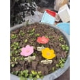 thumbnail image 2 of 3 Set bee Watering Station Insect Drinking Cups for Garden Flower-Shaped Bee Water Station Butterflies bee Waterer (Blue Pink Yellow 3 Set), 2 of 6