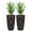 Brown, variant on S-HOME Imitation Rattan Design 22.5 Inch Brown Plastic Large Planter With Automatic Watering System 2 Pack