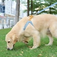 thumbnail image 6 of DYstyle Pet Rainbow Dog Harness,Block Pet Harness Set,Adjustable Dog Vest,No Pull Dog Harnesses Or Leash Clips, 6 of 6