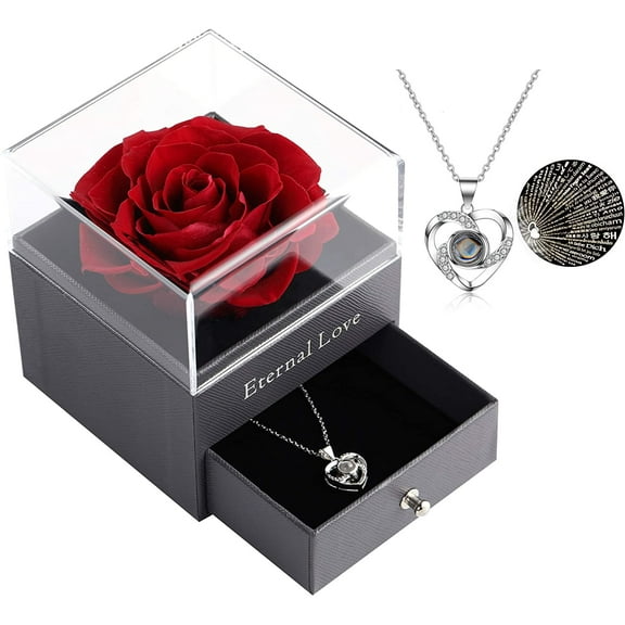 Mothers Day Gift Preserved Real Red Rose with Silver-Tone Heart Necklace I Love You Gift Set, Enchanted Real Rose Flower for Valentine's Day Anniversary Wedding Romantic Gifts for her (Red Rose)
