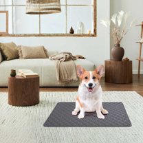 Premium Thickened Pet Mat - Super Absorbent, Odor-Resistant & Machine Washable Soft Fabric Mat for Dogs & Cats - Durable Non-Slip Indoor/Outdoor/Car Bed Pad