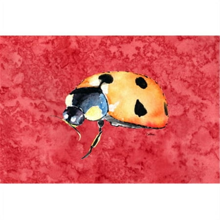 

Lady Bug On Red Fabric Placemat
