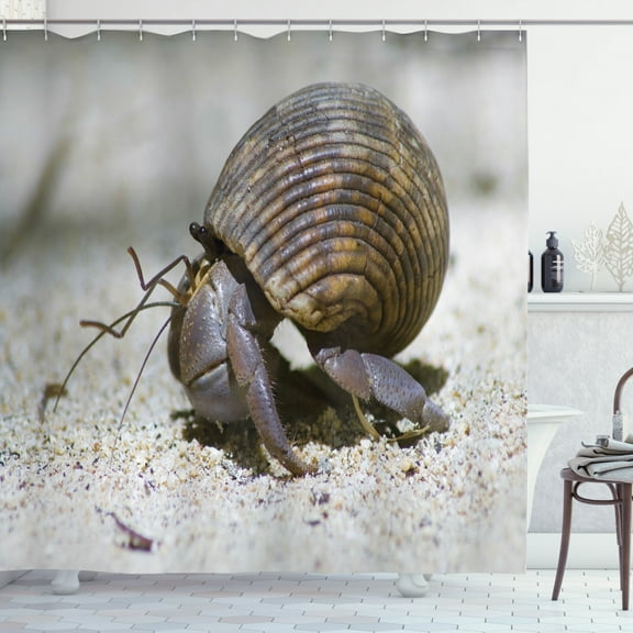 Hermit Crab Shower Curtain, Macro Shot Image of a Creature on Sand, Fabric Bathroom Set with Hooks, 69W X 70L Inches, Dark Tan Umber Dimgray, by Ambesonne