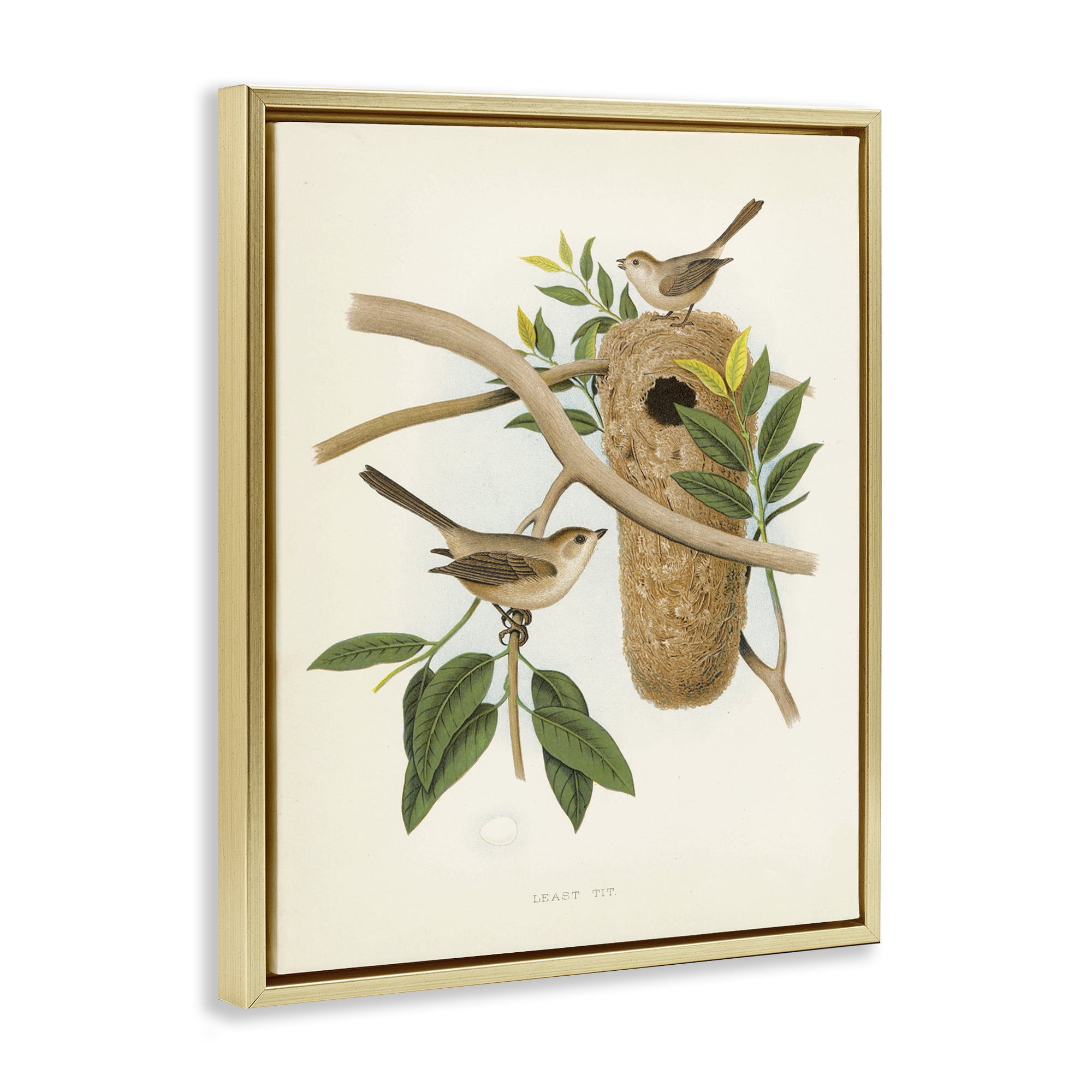 Stupell Industries Vintage Bird House Study Plants & Flowers Painting Gold Floater Framed Canvas Art Print Wall Art, 25 x 31