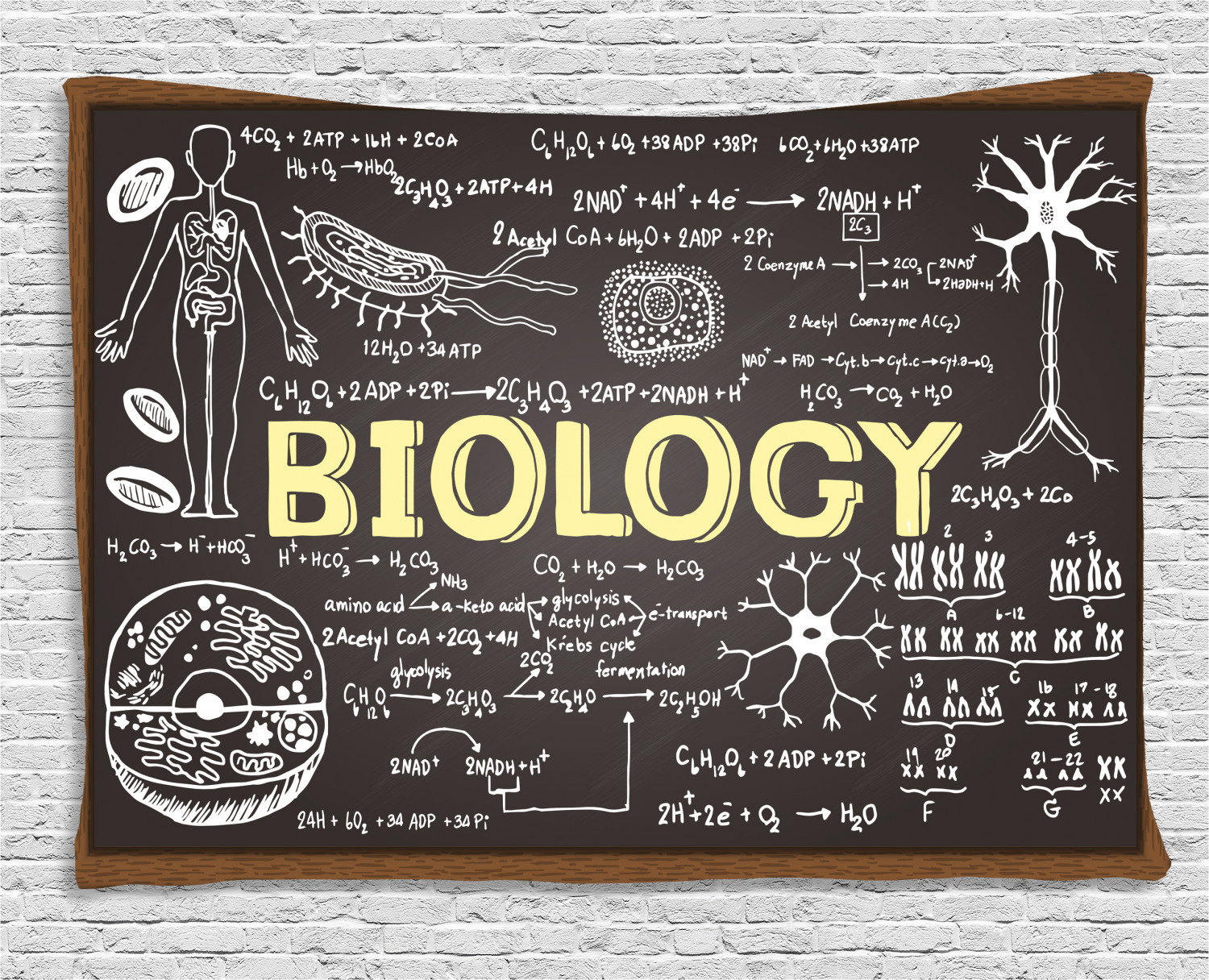 Educational Tapestry, Black Chalkboard Biology Hand Written Symbols School Classroom, Wall