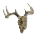 thumbnail image 3 of Zeckos 10 Point Buck Deer Skull Bust Wall Hanging, 3 of 3