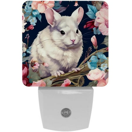 

Chinchilla LED Square Night Lights - Energy Efficient & Elegant Decorative Lighting for Your Home - Set of 2 Understated Square LED Nightlights