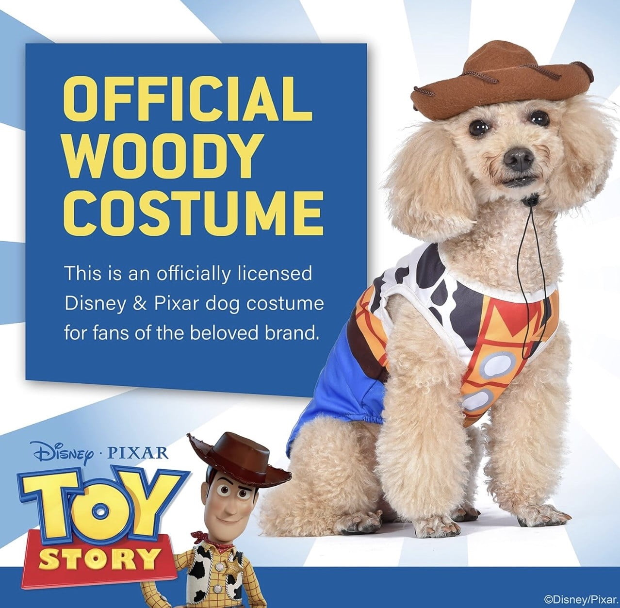 Disney for Pets Halloween Toy Story Woody Dog Costume Size Large - Main Image