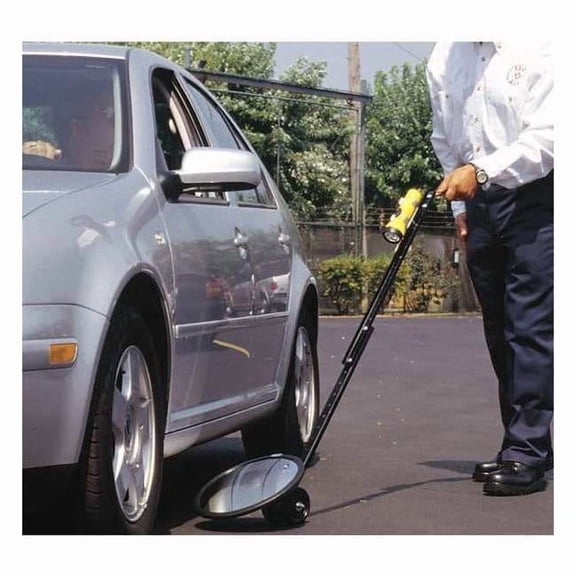 See All Industries Inspection Mirror,Outdoor Flat,18in dia DUC-18F