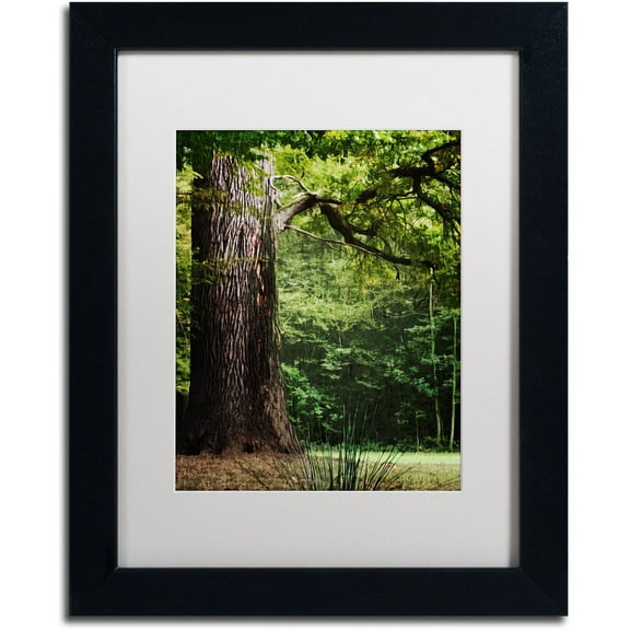 Trademark Fine Art "The old Trunk" Canvas Art by Philippe Sainte-Laudy White Matte, Black Frame