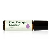 Plant Therapy Lavender Essential Oil 100% Pure, Pre-Diluted Roll-On, Natural Aromatherapy, Therapeutic Grade 10 mL