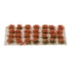 thumbnail image 1 of Studio Grass Tufts Flor silvestre Grupos de vegetación de flores en miniatura Modelo Etapa Material de bricolaje Naranja Magideal Studio Grass Tufts Flor silvestre, 1 of 7