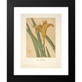 thumbnail image 2 of Arthur Wesley Dow 19x24 Black Modern Framed Museum Art Print Titled - Ipswich Prints; Lily (1901), 2 of 5