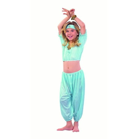 Harem Aladdin Girl Costume