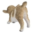 thumbnail image 4 of Garden Decor Animal Statue Small Brown & White Baby Lamb Playing, 4 of 5
