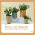 thumbnail image 5 of KALLORY 10 Sets Orange Plastic Gardening Plant Pots Cylinder with and Lightweight, 5 of 8