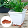 thumbnail image 3 of Flower/Plant , 24PCS Invisible Flower Pot Risers Feet Lifters Toes Lifters Supports Suitable Sector, 3 of 5