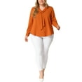 thumbnail image 2 of Agnes Orinda Women's Plus Size Tie V Neck Long Sleeve Wear-to-Work Chiffon Shirt 4X Caramel, 2 of 6