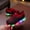 Black, variant on dgysar Boys LED Light Up Shoes Colorful Luminous Sneakers Soft Sole for Boys Girls Daily Outdoor Party Sports Casual Wear Red 21