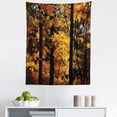 thumbnail image 1 of Tree Tapestry, Foliage Trees Fall Season Picture Trainquil Forest Countryside Image, Fabric Wall Hanging Decor for Bedroom Living Room Dorm, 5 Sizes, Dark Brown Orange Yellow, by Ambesonne, 1 of 1