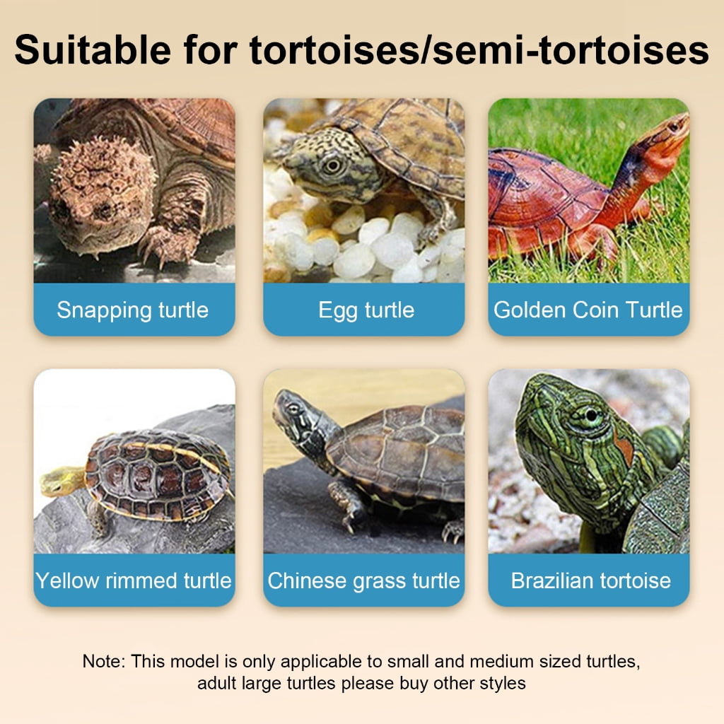Turtles Tanks Turtles Feeding Box with Basking Platform Habitat House